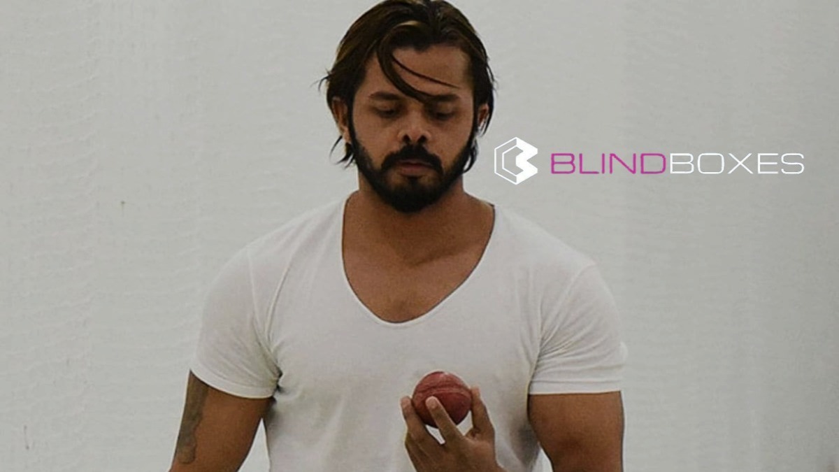 Sreesanth launches NFT collection in partnership with Blind Boxes (2)